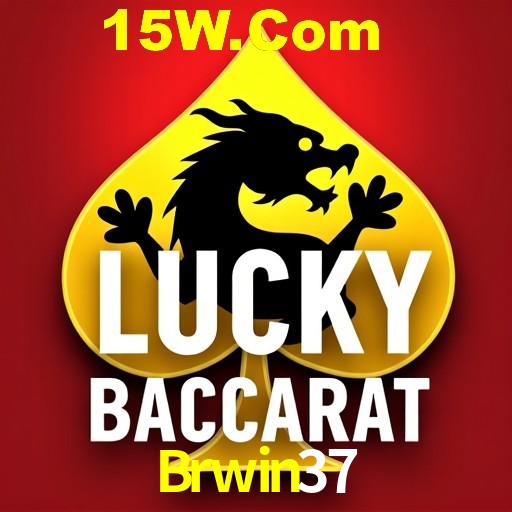 Security Systems Brwin37
